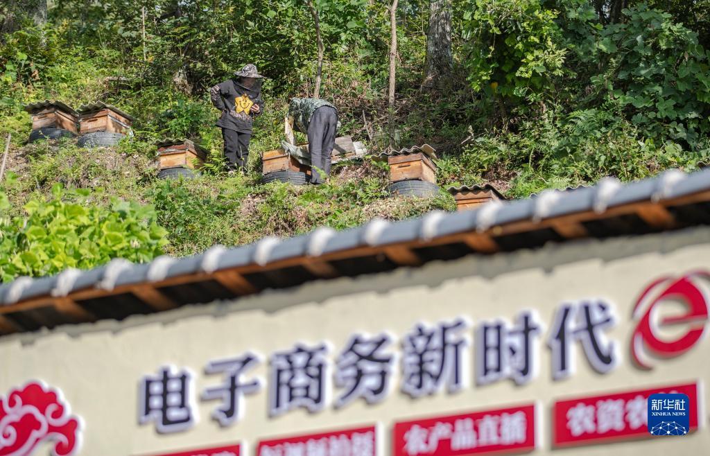 新上线捕鱼游戏